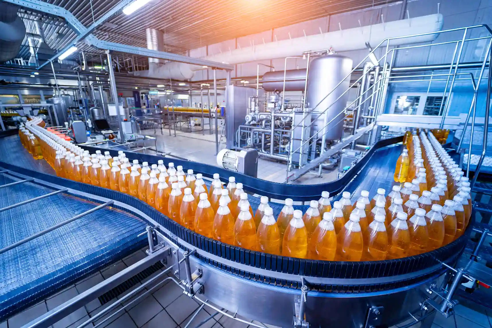 Usines de transformation des aliments et des boissons