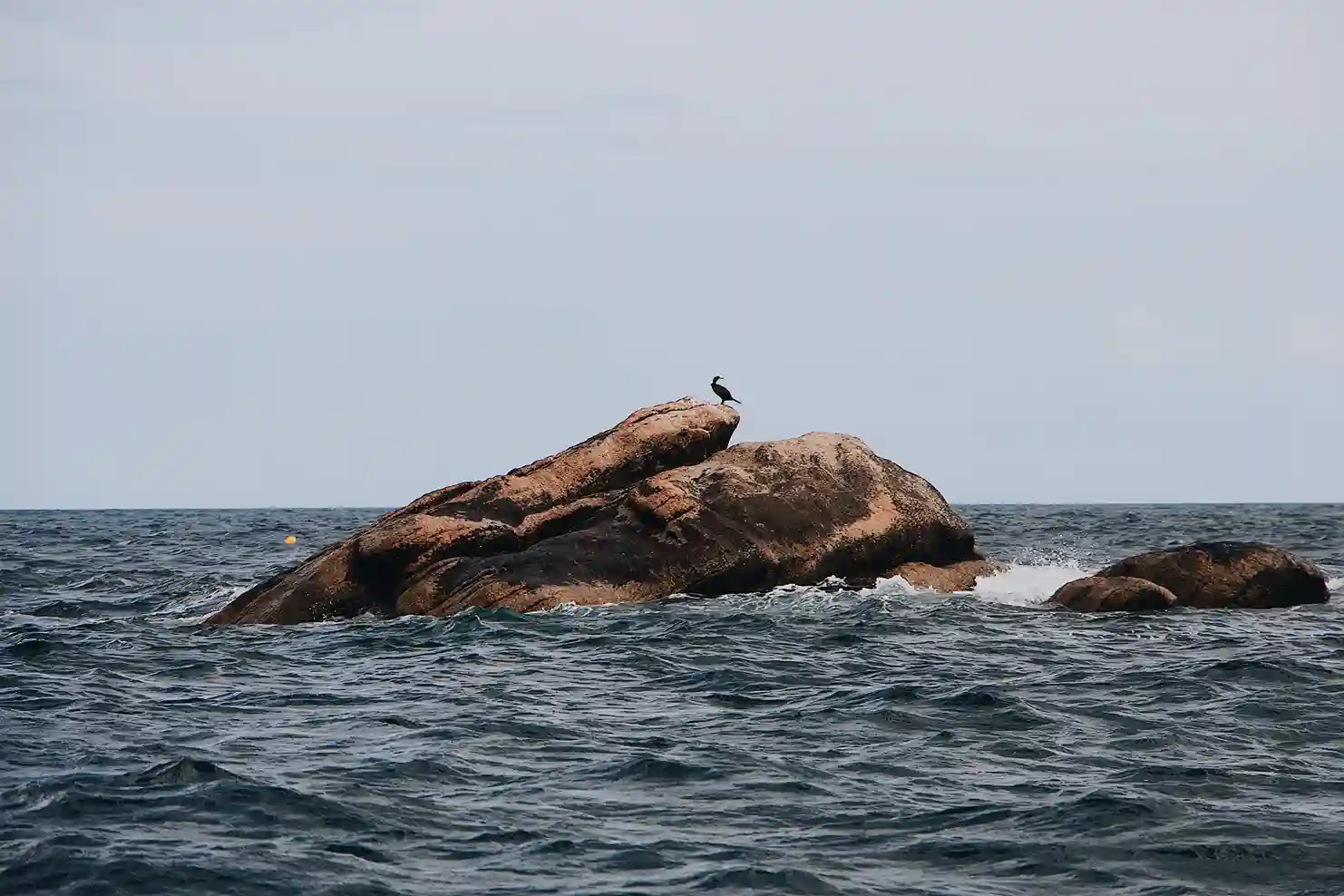 Environnements marins et côtiers