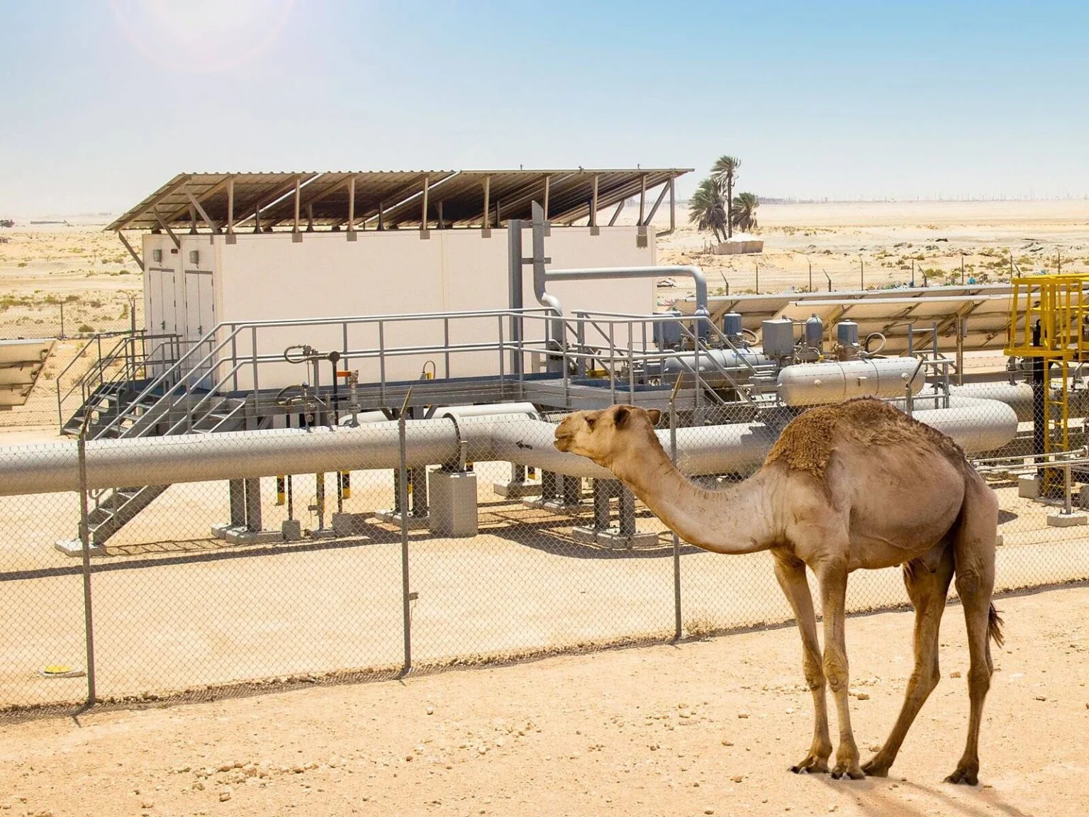 electrical enclosures at hot desert environment - Outdoor Protective Enclosures Designed for the UAE Desert Climate - E-Abel - E-Abel - Knowledge Hub - E-Abel - E-Abel Boîtiers électriques en milieu désertique chaud
